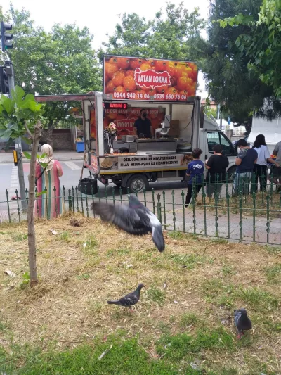  Foto Galeri